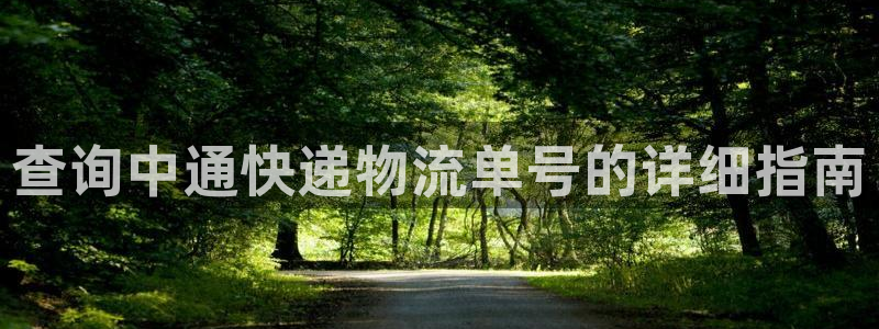 28圈.ccm2024：查询中通快递