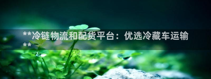 28圈模拟器在线玩：**冷链物流和配