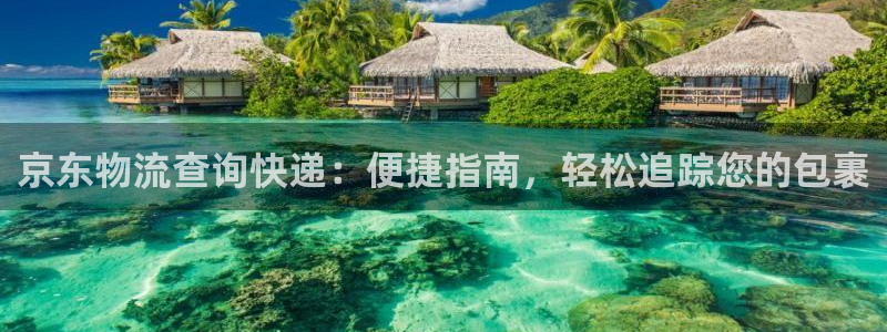 28圈加拿大：京东物流查询快递：便捷