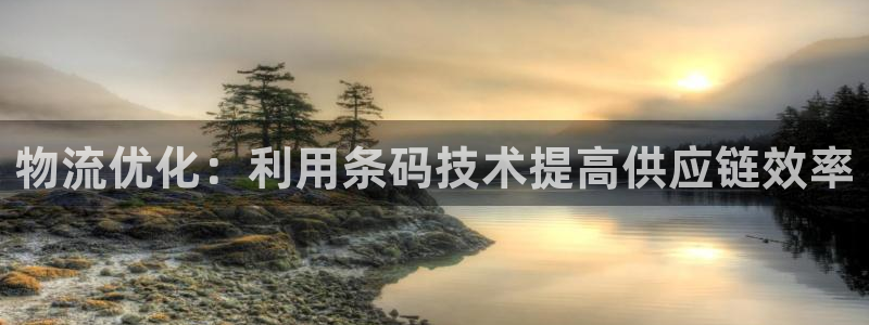 28圈登录用户名登录不上：物流优化：