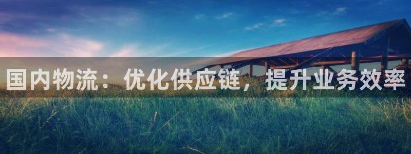 28圈注册网站：国内物流：优化供应链