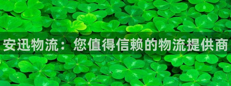加拿大28圈注册链接：安迅物流：您值