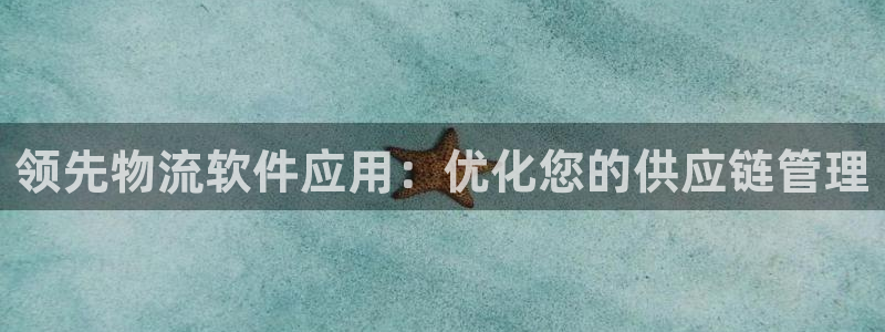 28圈登录：领先物流软件应用：优化您