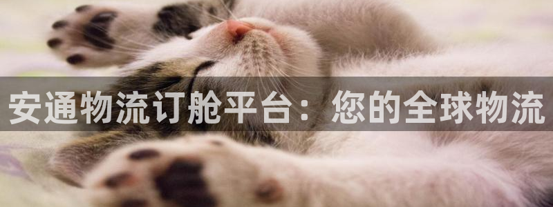 28圈软件是诈骗吗：安通物流订舱平台