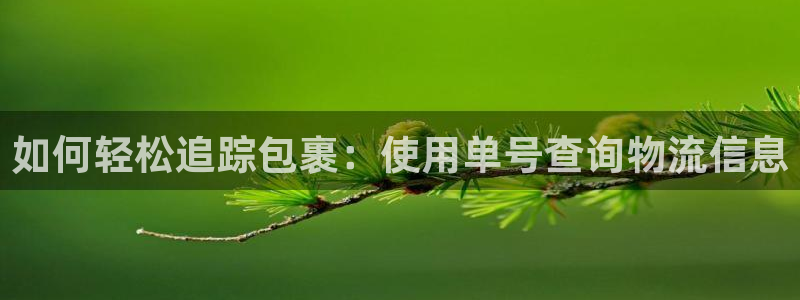 28圈官网注册：如何轻松追踪包裹：使