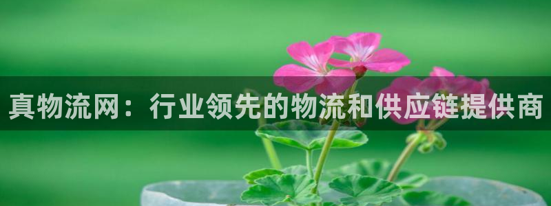 28圈注册链接入口：真物流网：行业领