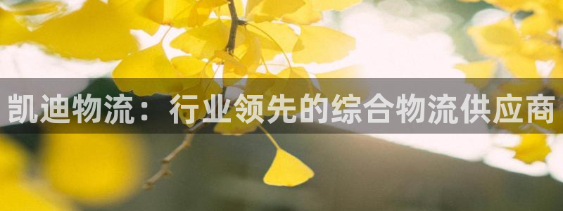 28圈充值不到账怎么办：凯迪物流：行