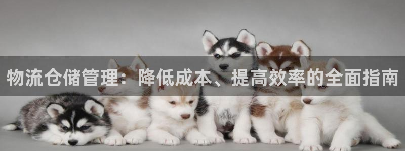 28圈圈：物流仓储管理：降低成本、提