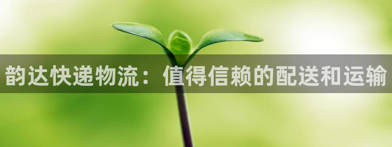 28圈加拿大预测