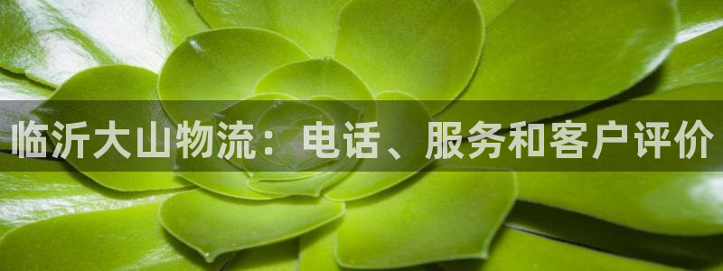 28圈初始密码在哪里修改