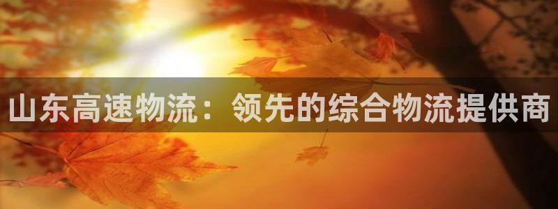 28圈可靠吗：山东高速物流：领先的综