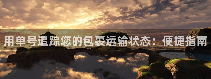28圈分分28预测：用单号追踪您的包