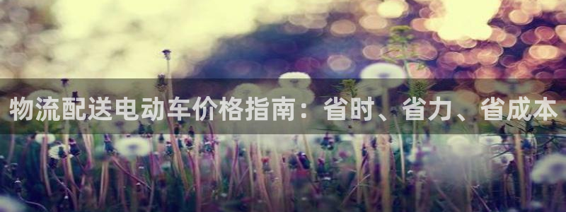 28圈流水怎么算：物流配送电动车价格
