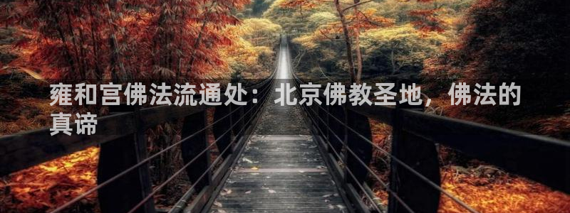 南宫28圈怎么注册：雍和宫佛法流通处
