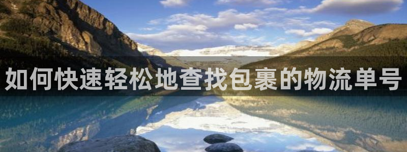 28圈防失联网址：如何快速轻松地查找