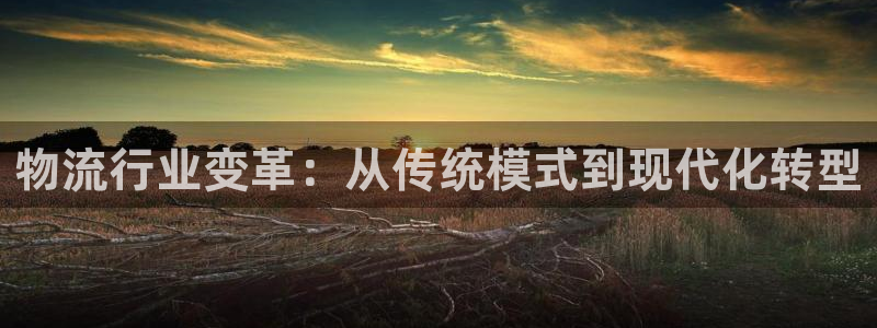 28圈p扣除