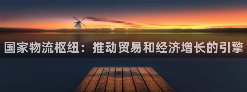 28圈p扣款什么意思：国家物流枢纽：