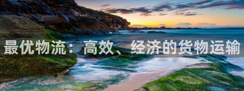 28圈登录用户名登录不上：最优物流：