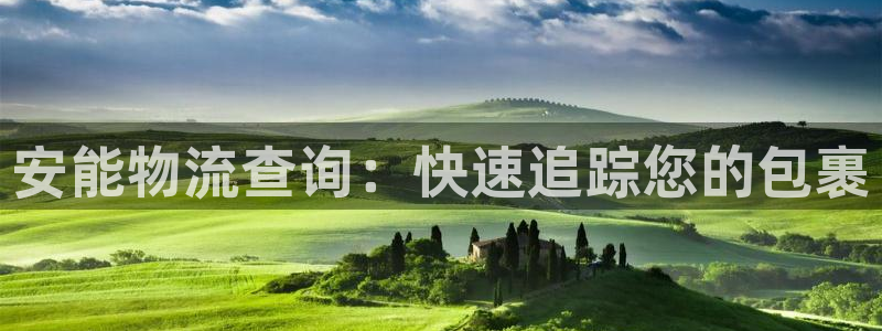 28圈注册链接入口：安能物流查询：快