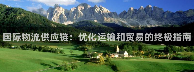28圈最稳打法：国际物流供应链：优化