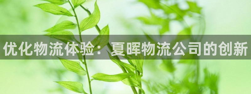 28圈提现未达5期是什么意思：优化物