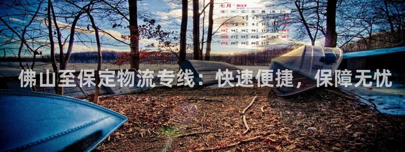 28圈百度百科： 佛山至保定物流专线