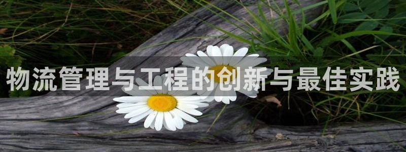 28圈预测加拿大：物流管理与工程的创