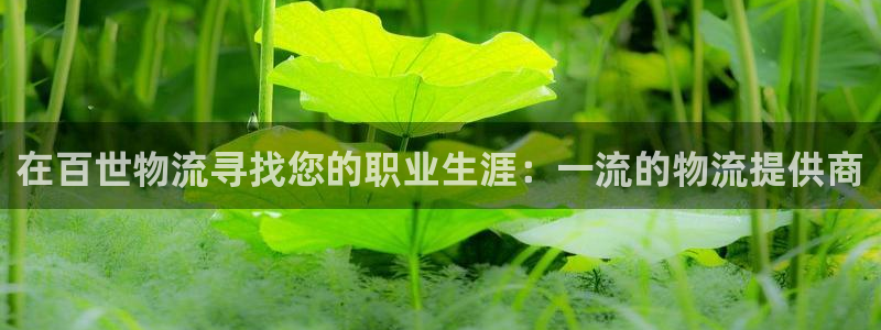 28圈ip被限制怎么解决