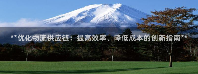 28圈网赌有什么风险：**优化物流供