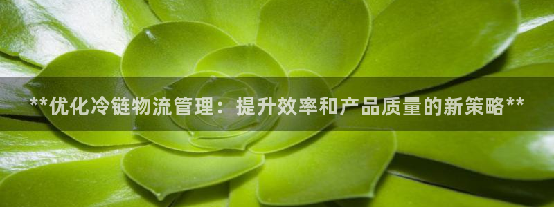 28圈pc预测