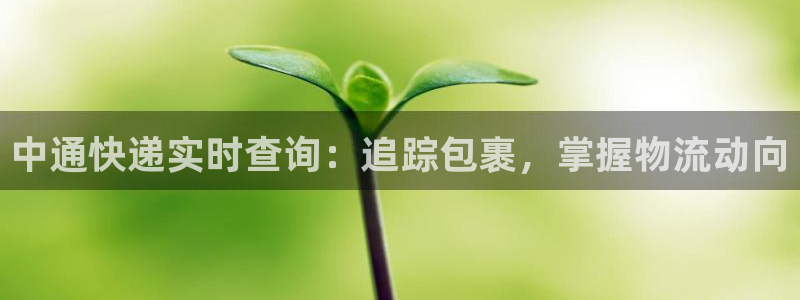 28圈的自行车：中通快递实时查询：追