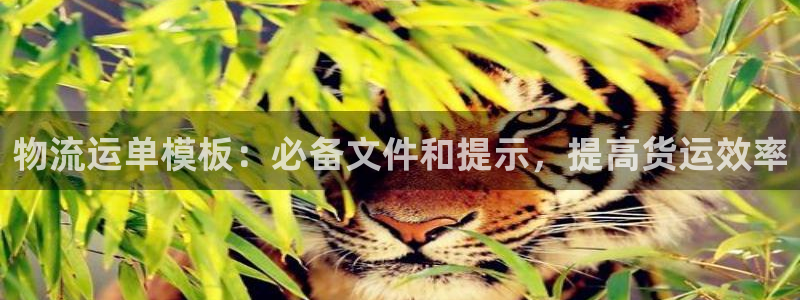 28圈.ccmapp