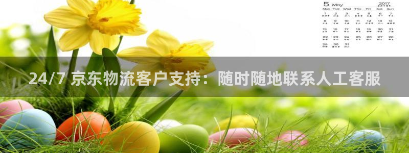 28圈游戏官网入口：24/7 京东物