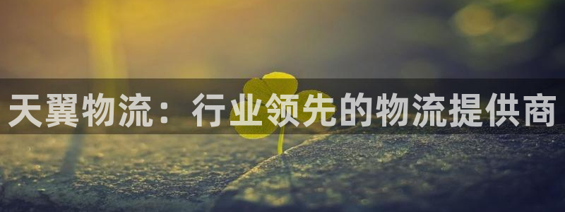 28圈app怎么注销：天翼物流：行业