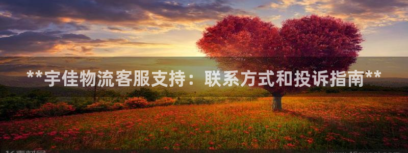 28圈黑钱：**宇佳物流客服支持：联