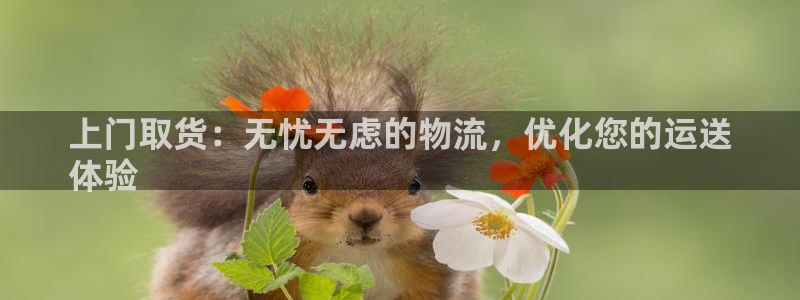 28圈链接来一个：上门取货：无忧无虑
