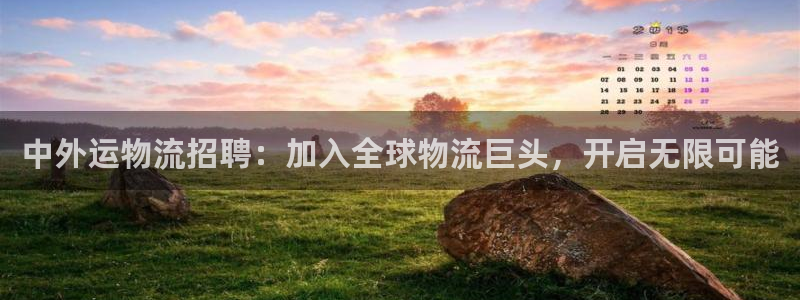28圈软件：中外运物流招聘：加入全球