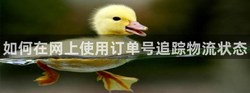 28圈注册网站加拿大：如何在网上使用