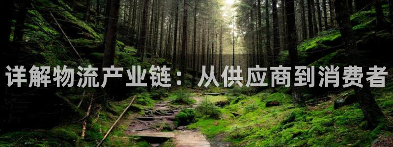 28圈比特28预测在线预测：详解物流