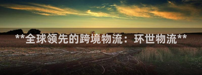 28圈合法吗：**全球领先的跨境物流