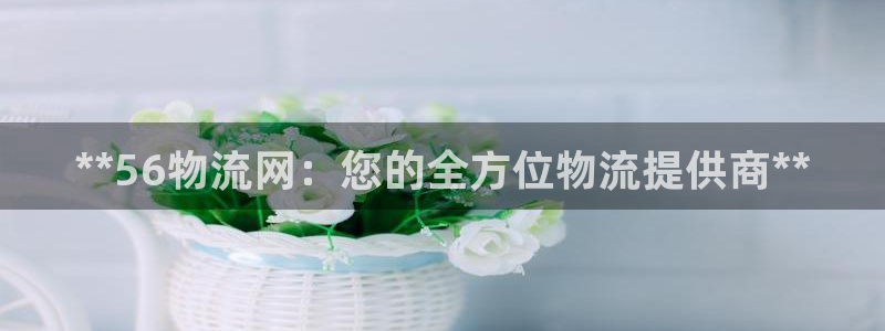 28圈app注册地址：**56物流网