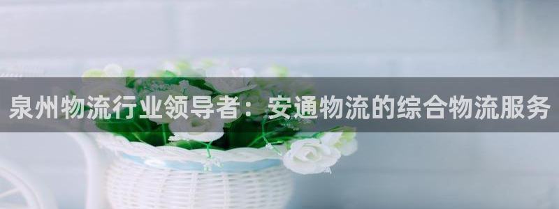 28圈软件：泉州物流行业领导者：安通