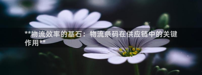 28圈怎么注册账号：**物流效率的基