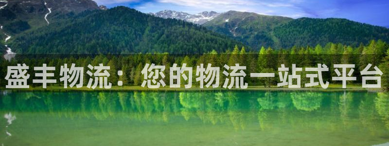 28圈相信品牌的力量：盛丰物流：您的