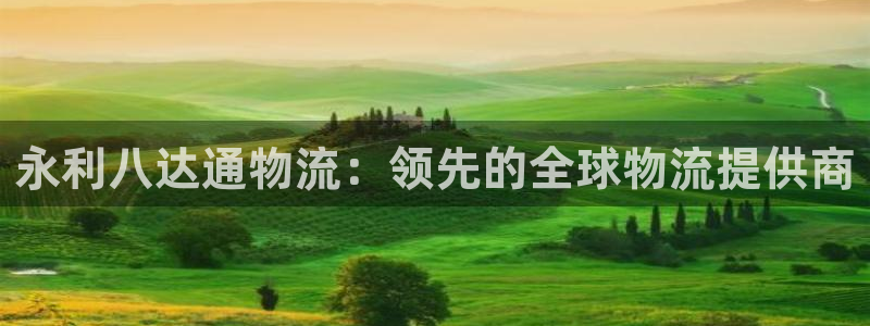 28圈p扣除：永利八达通物流：领先的