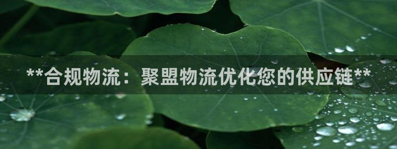 28圈怎么注册游戏名字：**合规物流