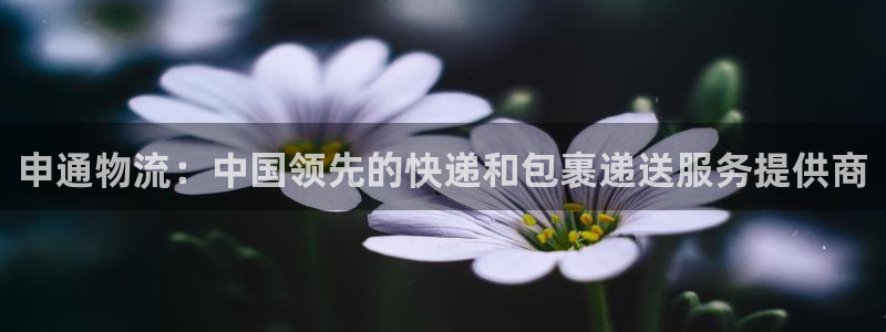 28圈软件：申通物流：中国领先的快递