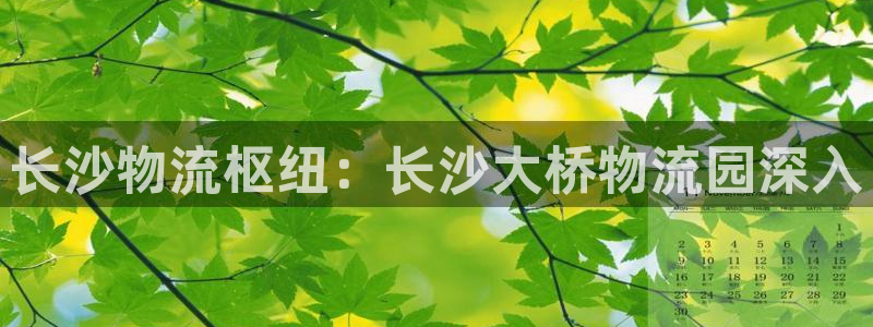 28圈赌博被抓