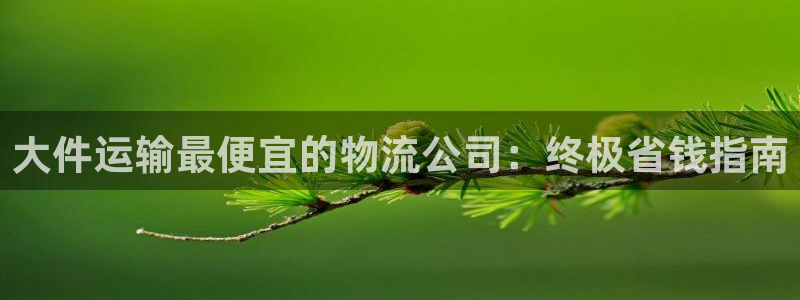 28圈赌博被抓：大件运输最便宜的物流