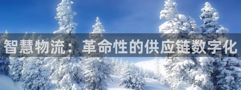 28圈注册网站链接：智慧物流：革命性